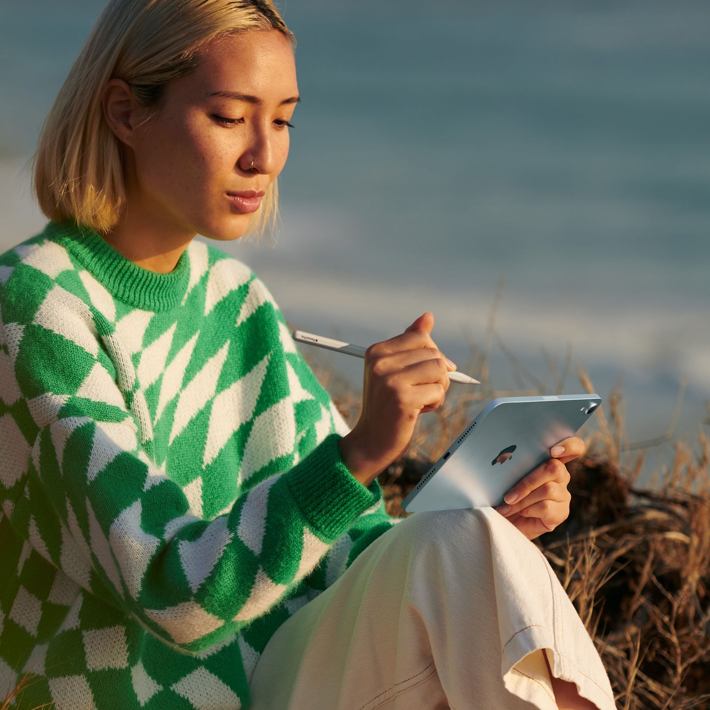 Person using Apple Pencil Pro with iPad mini outdoors by the beach