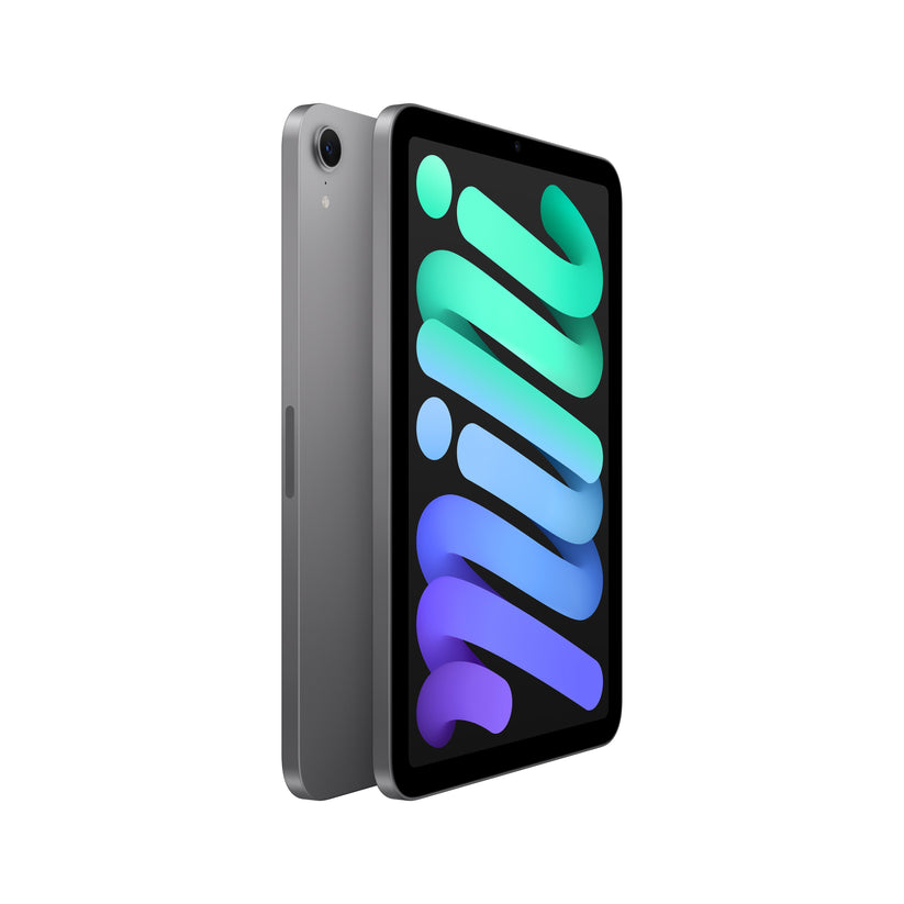 iPad mini in Space Grey (A17 Pro) angled front and rear view