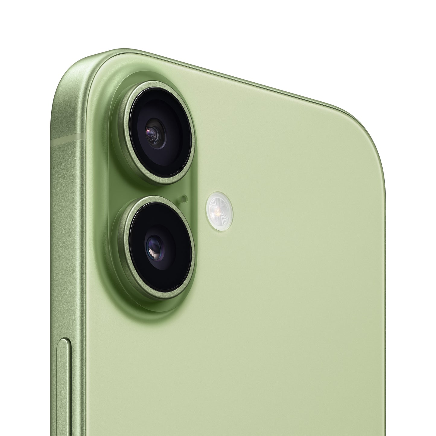 Close-up of iPhone 17 in Sage showing rear dual-camera system