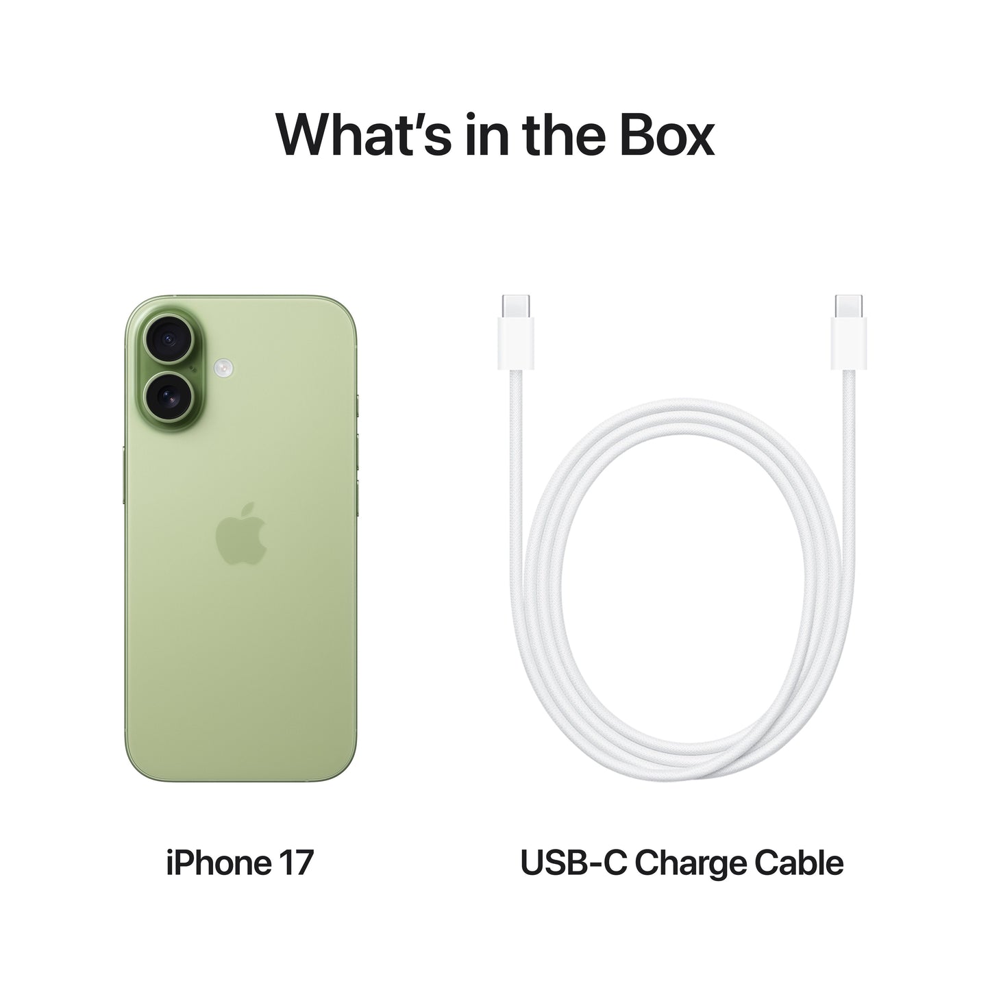 iPhone 17 in Sage with USB-C charge cable included in the box