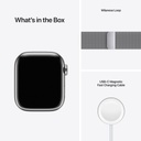 Apple Watch Series 7 Silver Stainless Steel Case (45mm, Silver Milanese Loop)
