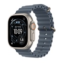 49mm Anchor Blue Ocean Band - Natural Titanium Finish