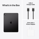 Apple 13-inch iPad Pro (M5)