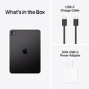 Apple 11-inch iPad Pro (M5)
