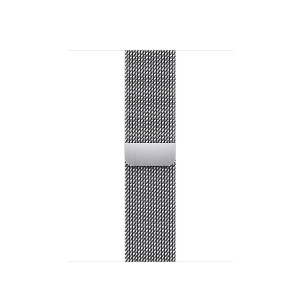 Apple 38/40/41mm Silver Milanese Loop