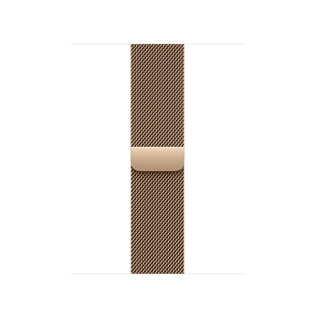 40/41/42mm Gold Milanese Loop