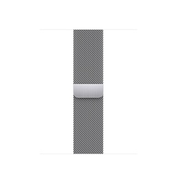 [MTJN3AM/A] Apple 38/40/41mm Silver Milanese Loop